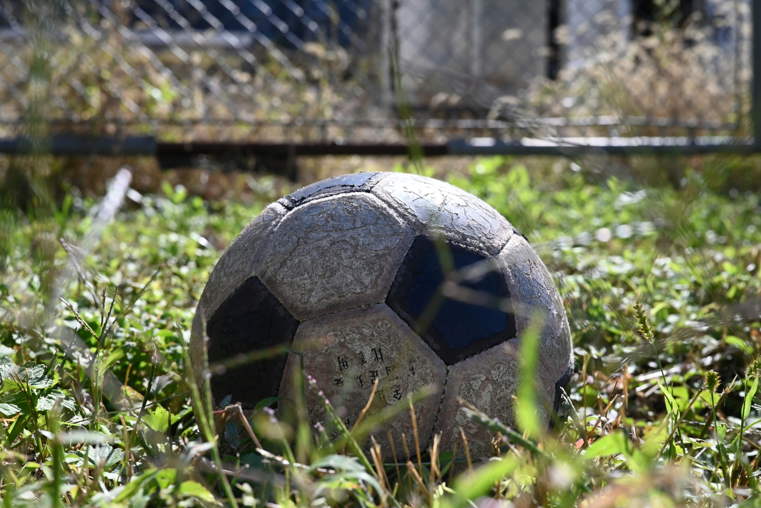 Immagine in evidenza di Hello World